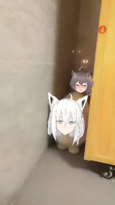 NO ONE IS SAFE FROM MATSURI