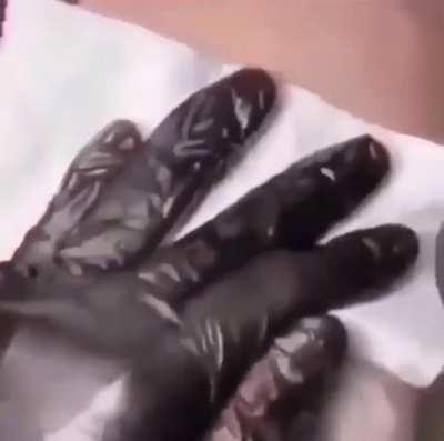 Gotta catch them all