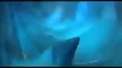 Aokiji has some good taste in movies