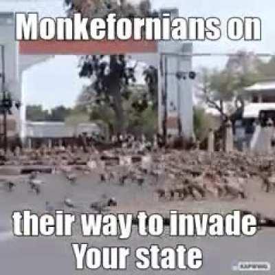 Mayofornians be like