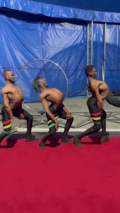 And here we can see how the male birds compete to impress the female