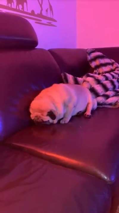 Staying awake is difficult sometimes