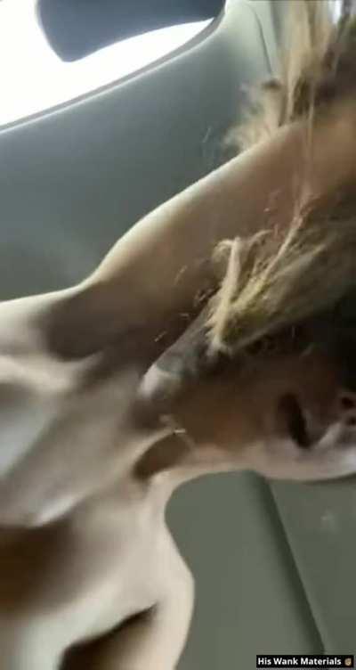 Please God Tell Me Who This Is, Or Link A Full Video.