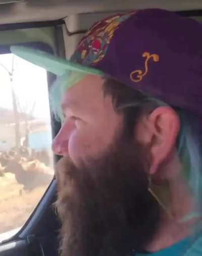 🔥 Elks gather around the neighborhood