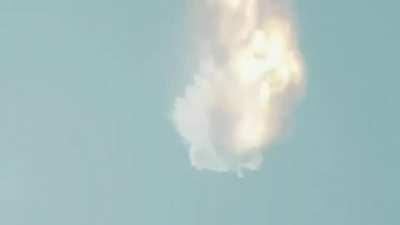 Tims ready for Dear Moon