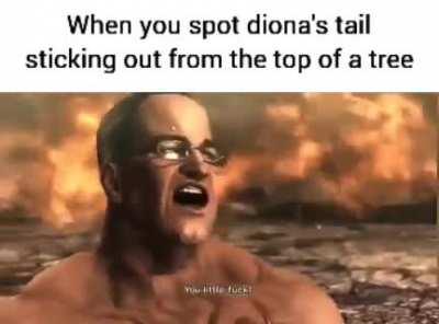 Are windtrace memes still relevant