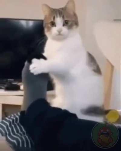 Голодающее дитя