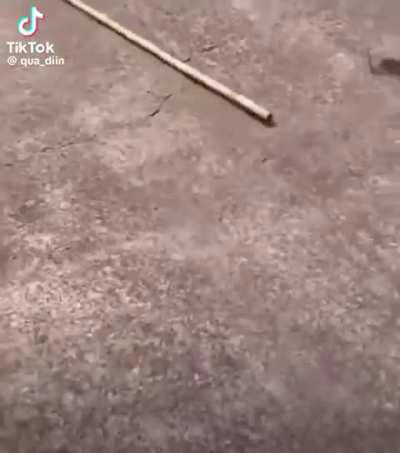 Rule #1, don&rsquo;t be this guy