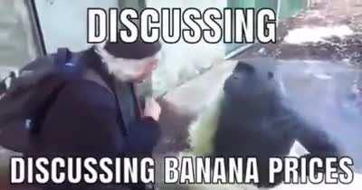 Alguna app similar a Primephonic, gratis