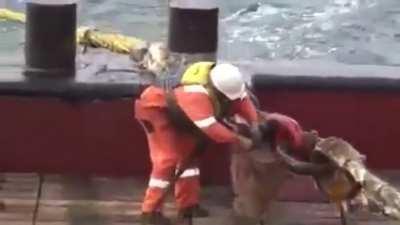 Warning!! NSFW. Dangers of ship towing line