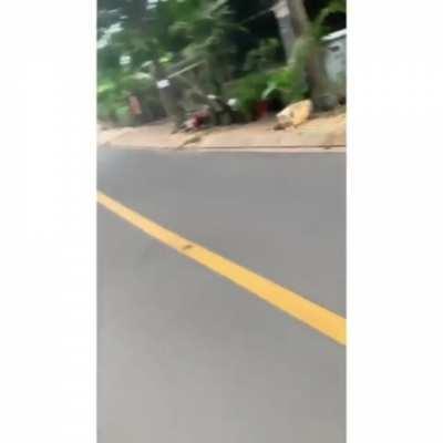 That could have gone SO much worse.