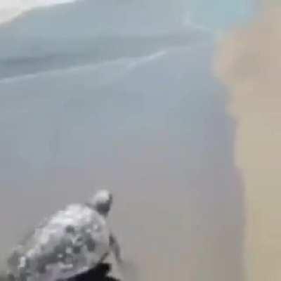 Tem algo mais foda que isso? Só os esqueleto disso!