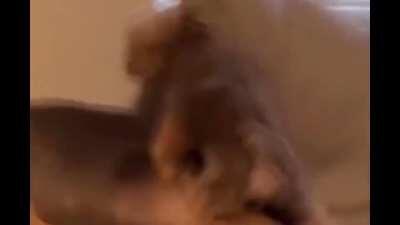 Someone please help me.