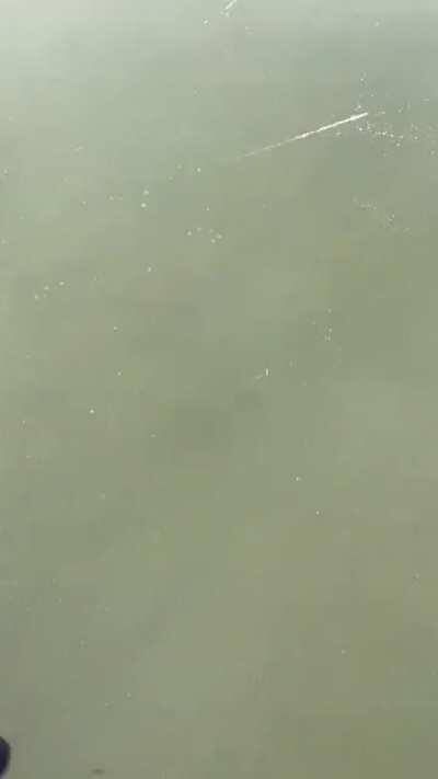 Hochwasser in Leverkusen Rheindorf, welches nun gefroren ist