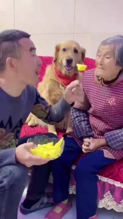 humanity of that dog!