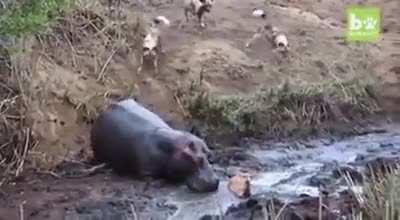 All hero doesn't wear cape.