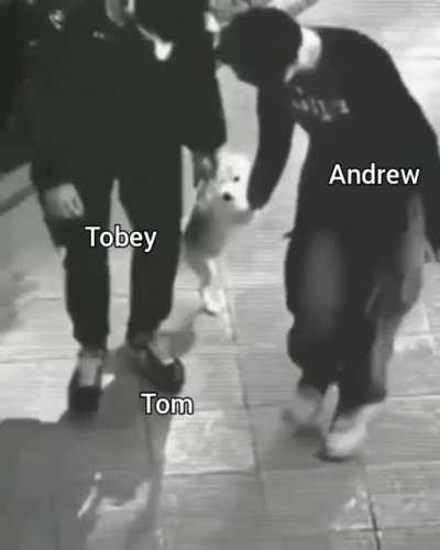 NO SPOILERS - Tomorrow's going to be awesome