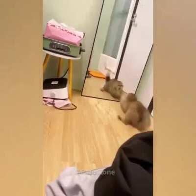 Сколько раз за две минуты узнаете своего?