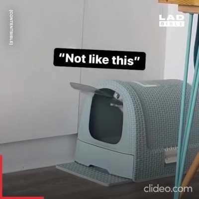 Actual footage of an INTP solving a math problem...