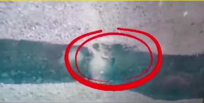 2-4 Pakistani Taliban (TTP) militants are ambushed and killed by snipers and quadcopter drones of Pakistan Army in Dossali Tehsil of North Waziristan District, Khyber Pakhtunkhwa, Pakistan. [13 February 2025]