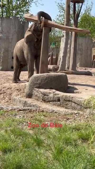 Basel Zoo, Switzerland. You gotta be kidding me…
