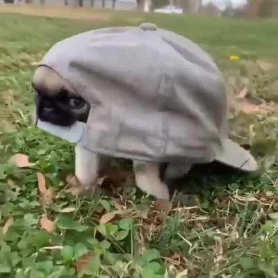 I Am Stuck.. Help me!!