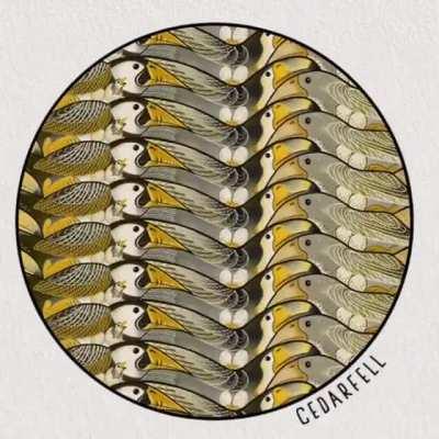 Colour Changing Tessellations.