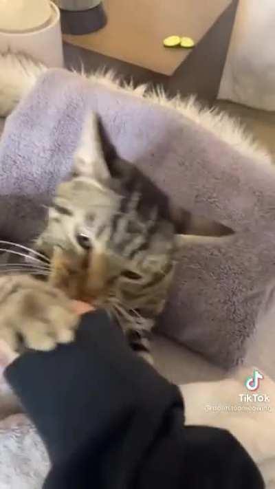 nAStY WoMAn trIeS To RUiN RElAxaTiOn SEsSiOn!1!!