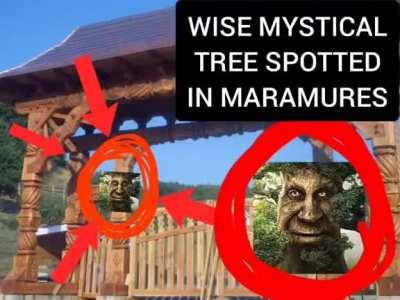 IUBESC MARAMURES 🐧💯🐧💯