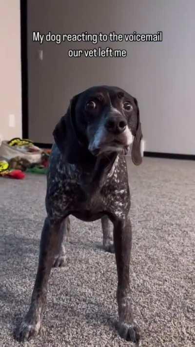 What did she call me!?