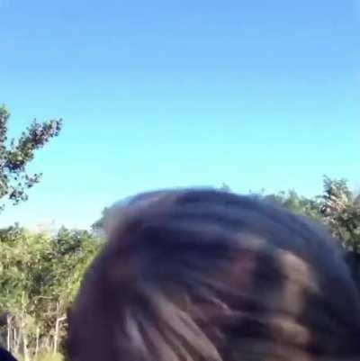 Giraffe chasing a jeep 