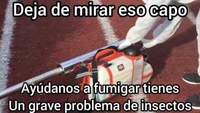 No es un meme otaku se los juro :c