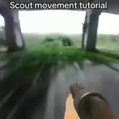 Scout mains, is this correct?