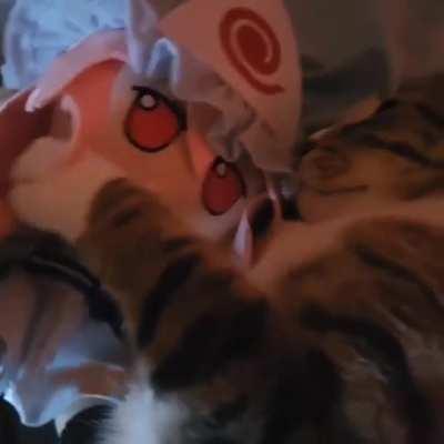 Kitty loves the yuyu fumo