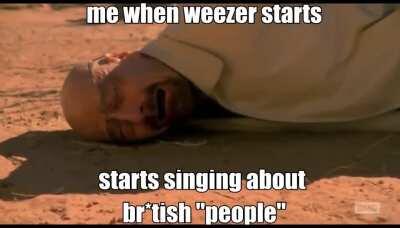 british weezer fans be like : 