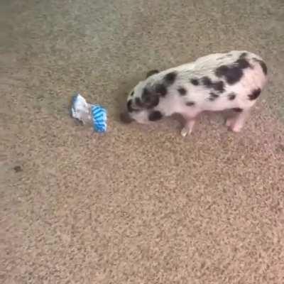 You buy them toys and then they have more fun playing with the wrapper