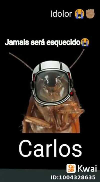 F para o Carlos Mó gente... Digo barata boa véi 😔 Gostava quando ele levava uma Go pro pro banheiro das meninas na escola sem elas vêem, vou sentir sdds dele 😢