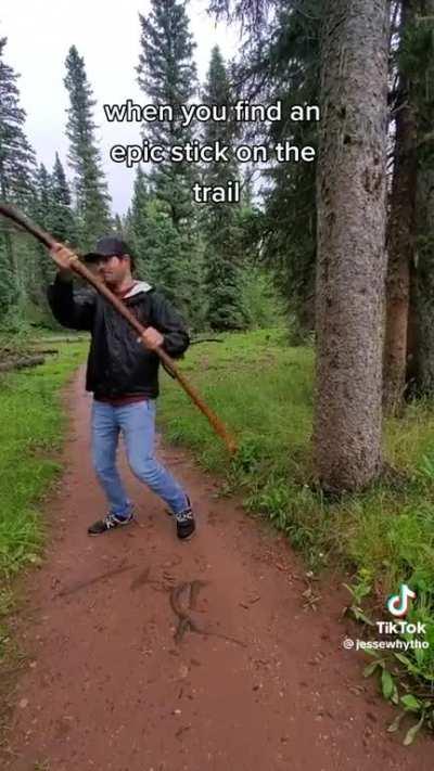 The urge to pull a Gandalf with a random stick