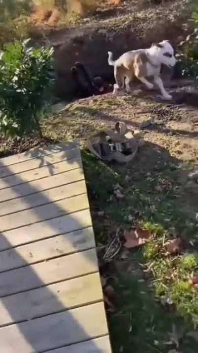 The kid wasn’t going to make it anyways!