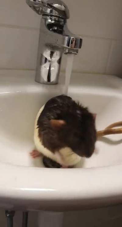 Don't mind me, just taking a lil shower