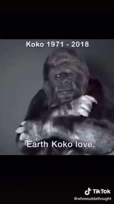 Pls save earth