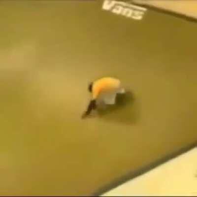 Monkey Hawk Pro Skater