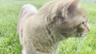 Her adventures include a play by play