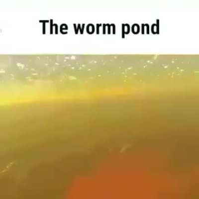 Aksdghdjdkdmdmdmmdksmpenisnsndnndne