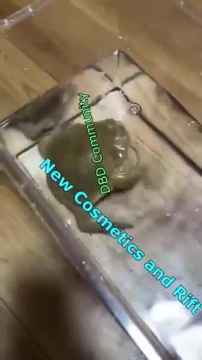 Dead by daylight always know how to fix a situation