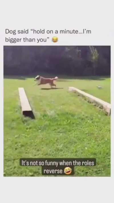 When he realized he is bigger