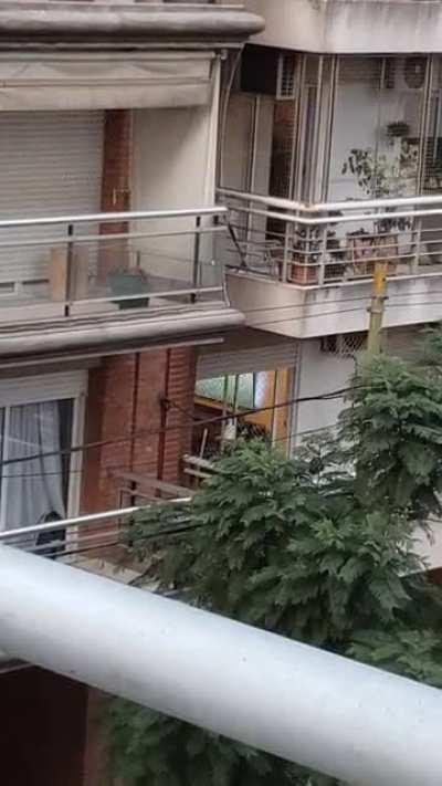 Qué está pasando ahí? Sólo respuestas incorrectas