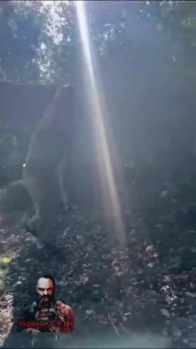 Ok this guy is a unit