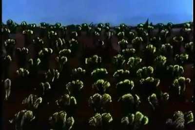 Another Lost Unofficial Music video. The Pot.