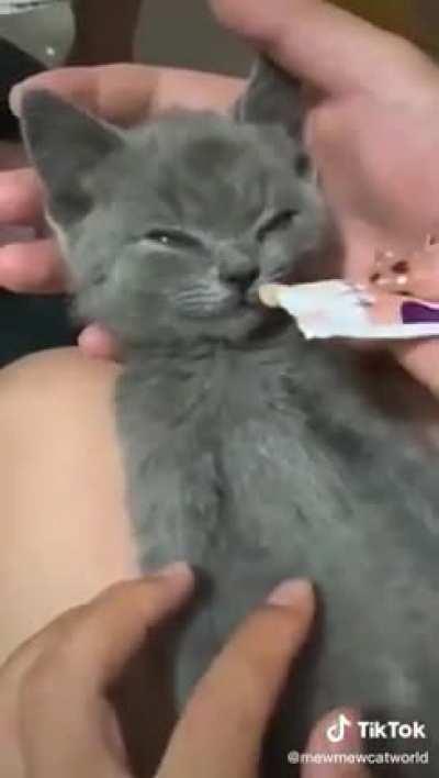 The taste of life right through that pouch!